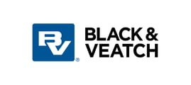 19 BV Logo Stacked RGB 300