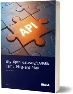 Why-Open-Gateway-CAMARA-Isnt-Plug-and-Play-234x300